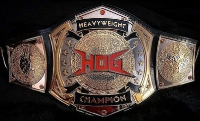Pack of 3 Belts HOG,ROW and 4th rope Championship Belt 2mm Brass 